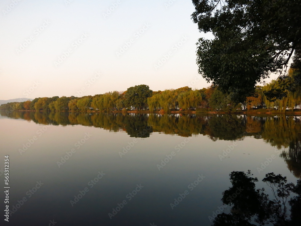 Obraz premium reflection of trees on the lake