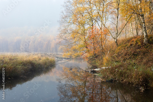 autumn season near wild river