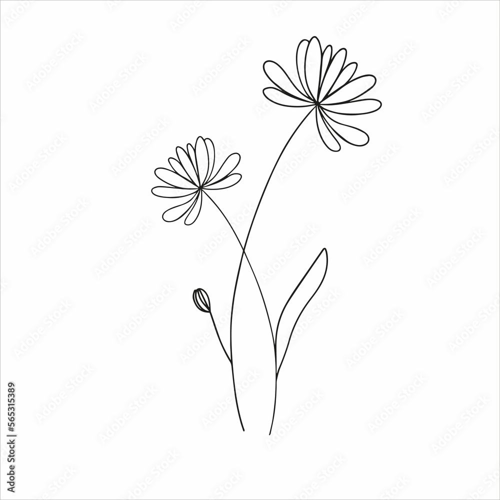 Black line silhouette of flower, vector, transparent background Black line silhouette of flower, vector, transparent background