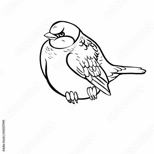 Bird, sparrow, black and white linear drawing for coloring