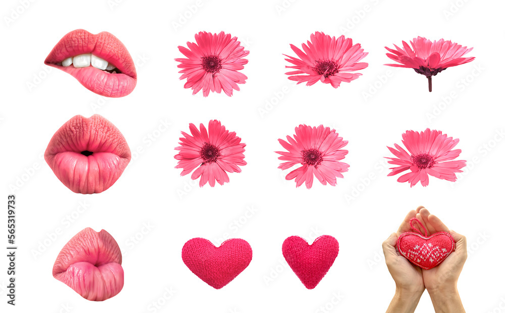 Romantic set of pink flowers and lips for valentine day and love illustration isolated on a transparent background. Flowers isolated on a transparent background. Beauty Sexy Lips. Romantic set of pink flowers and lips for valentine day and love illustration isolated on a transparent background. Flowers isolated on a transparent background. Beauty Sexy Lips.