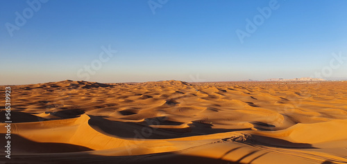 Sand dunes in Dubai desert, UAE