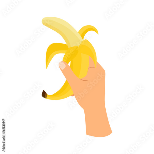 Hand Holding Banana Fruit. Hand holds half peeled banana in flat style isolated. vector illustration.