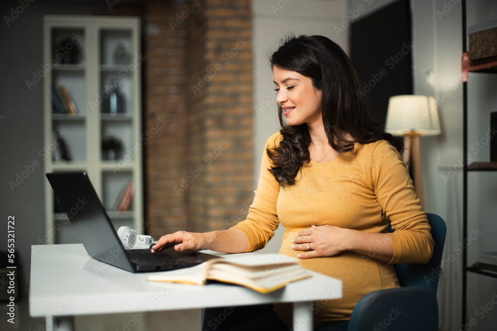 Beautiful pregnant woman working on laptop. Young businesswoman working in her office. Beautiful pregnant woman working on laptop. Young businesswoman working in her office.