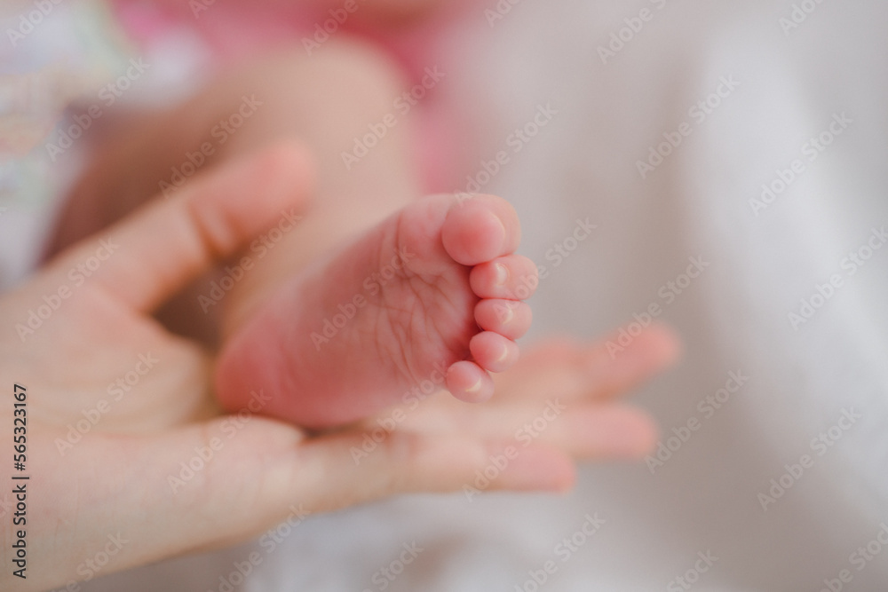 Close up mother holding foot newborn girl in a room. Adorable infant rests on white bedsheets, staring at camera looking peaceful. Infancy, healthcare and paediatrics, babyhood concept. Close up mother holding foot newborn girl in a room. Adorable infant rests on white bedsheets, staring at camera looking peaceful. Infancy, healthcare and paediatrics, babyhood concept.