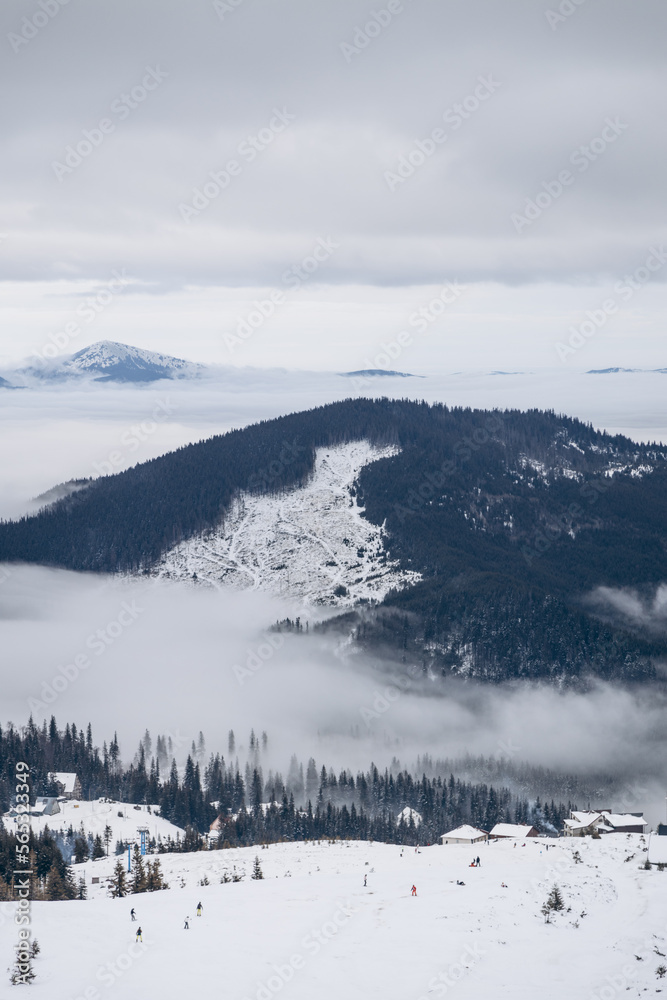 Dragobrat, Ukraine mountain landscape with fog and fir trees Dragobrat, Ukraine mountain landscape with fog and fir trees