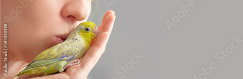 Forpus parrot in the palms of the girl close-up. The concept of love and care. copy space