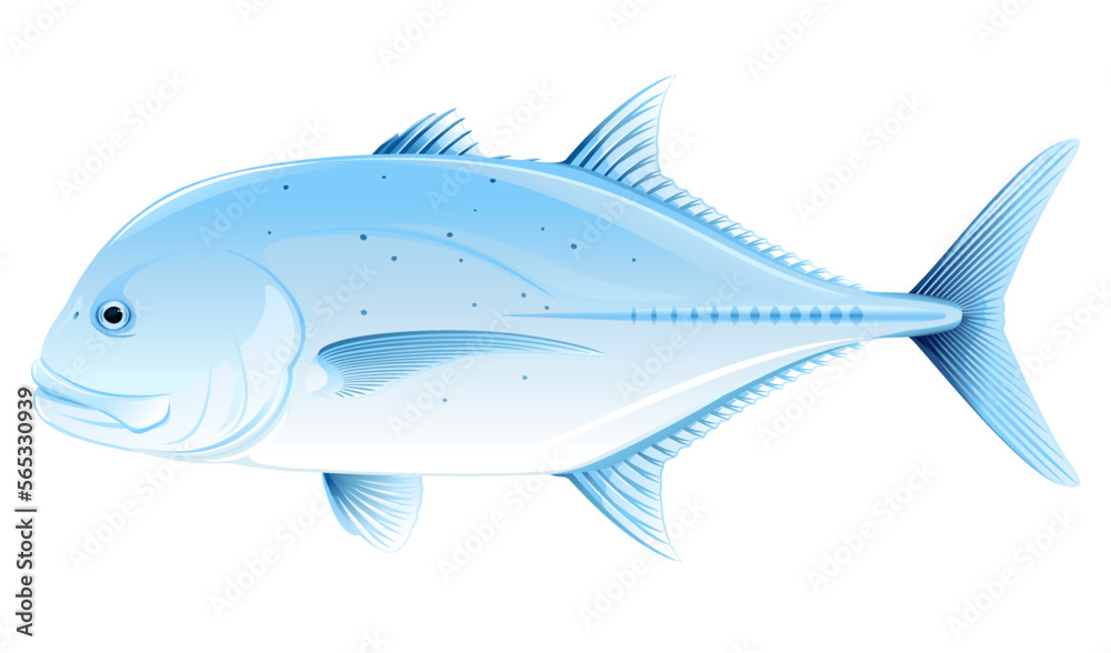 Giant trevally fish in side view, one realistic sea fish illustration on white background, Caranx ignobilis sport fishing trophy, commercial and recreational fisheries Giant trevally fish in side view, one realistic sea fish illustration on white background, Caranx ignobilis sport fishing trophy, commercial and recreational fisheries