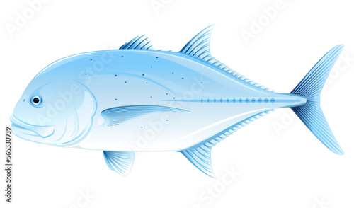 Giant trevally fish in side view, one realistic sea fish illustration on white background, Caranx ignobilis sport fishing trophy, commercial and recreational fisheries © Oceloti