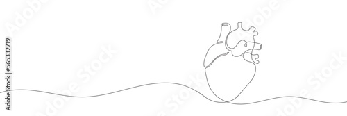 Continuous line human heart silhouette on white background