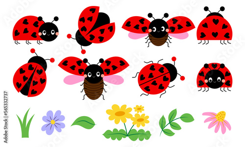 Cute cartoon ladybug collection with flowers and leaves, red beetle with dots. Funny love bugs, flower buds and foliage pack bundle for spring collections.