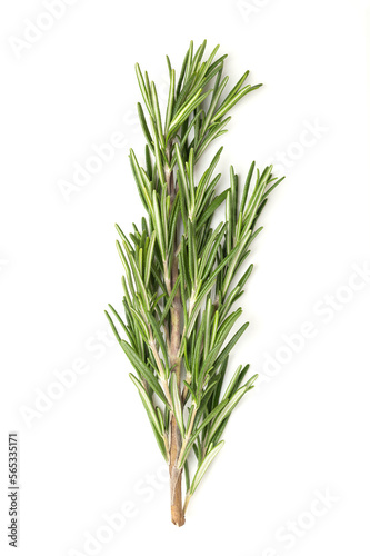 Fresh rosemary sprigs  in a wooden bowl. Rosemary twigs  branches of Salvia rosmarinus. Aromatic and evergreen shrub  with fragrant needle-like green leaves  used as a medicinal and culinary herb.