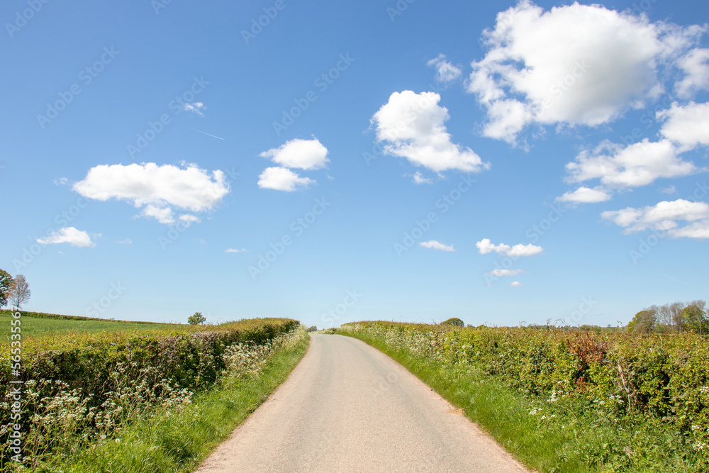 road in the field road in the field