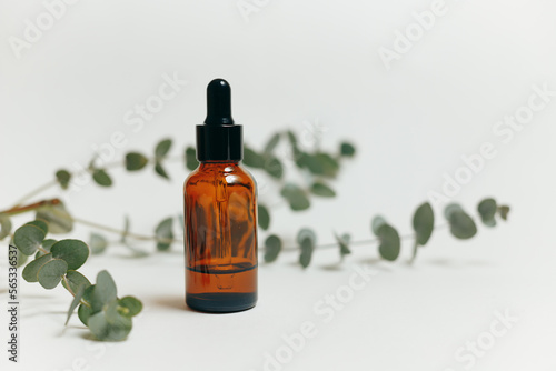 Essential oil or serum cosmetics dropper glass bottle with eucalyptus on white background. Copy space