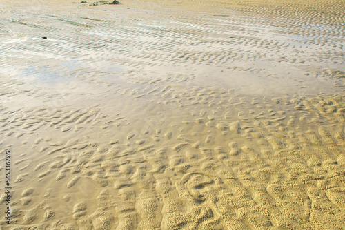 Natural background texture of frozen sand.