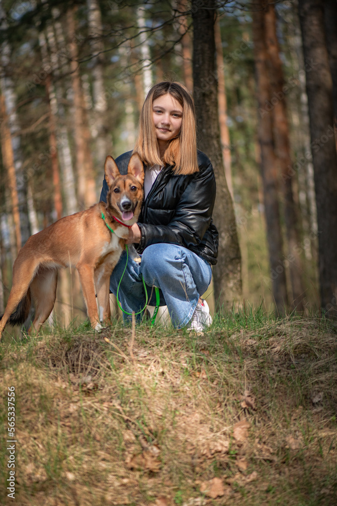 Portrait of a young beautiful girl with a dog. Portrait of a young beautiful girl with a dog.
