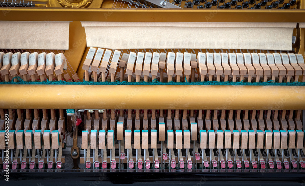 Details of piano mechanism gavel - string, pins and hammers Details of piano mechanism gavel - string, pins and hammers