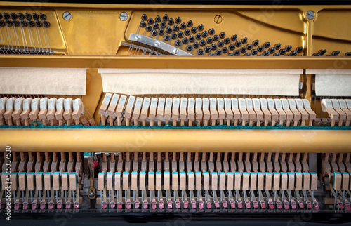 Details of piano mechanism gavel - string, pins and hammers