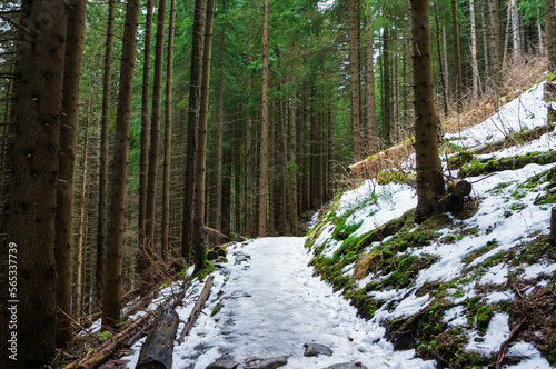Mountain hiking trail to Giewont in the Tatra National Park. Winter landscape