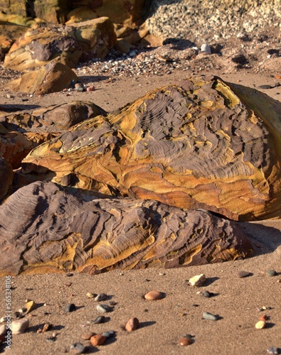 rocks on the beach