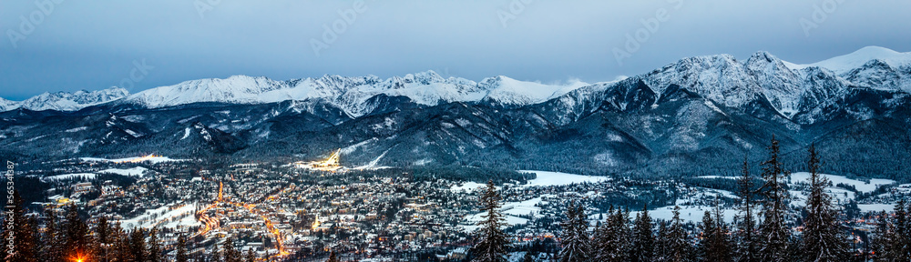 Zakopane nad Tatra Mountains landscape, winter panorama from Gubałówka, Poland, Europe - obrazy, fototapety, plakaty 