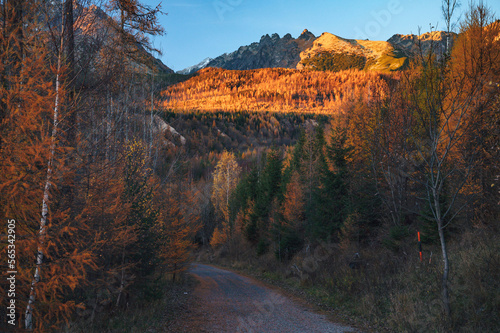 An autumn stroll in the High Tatras offers a view of the Gerlach peak surrounded by nature's autumn splendor