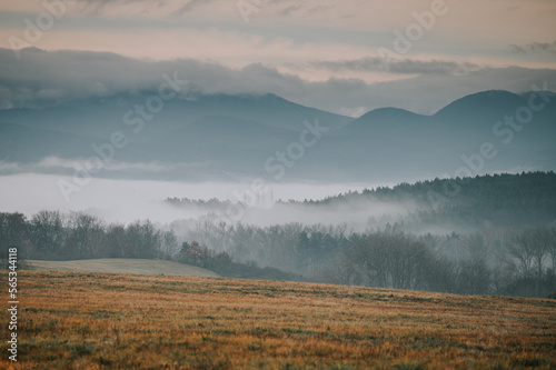 The autumn meadow is a sight to behold, as the mist rolls in to cloak the landscape in a soft and ethereal glow. The vibrant colors of the trees and grasses are made even more striking by the mist,