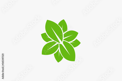 Illustration vector graphic of green leaf 