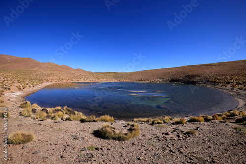 High altitude lagoon in northwest Argentina
