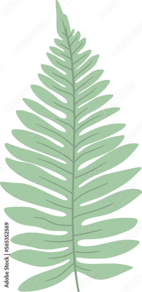Jungle leaf plant. Vector exotic green leaves Jungle leaf plant. Vector exotic green leaves