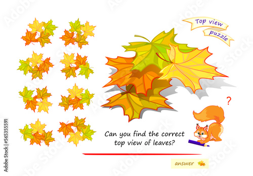 Logic puzzle game for children and adults. Can you find the correct top view of leaves? 3D maze. Page for brain teaser book. Developing spatial thinking. IQ test. Play online. Vector cartoon image.