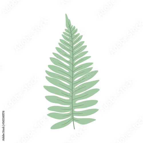 Jungle leaf plant. Vector exotic green leaves
