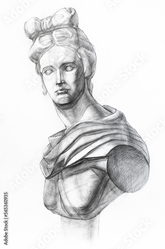 academic drawing - gypsum model of Apollo Belvedere bust hand drawn by regular pencil on white paper © vvoe
