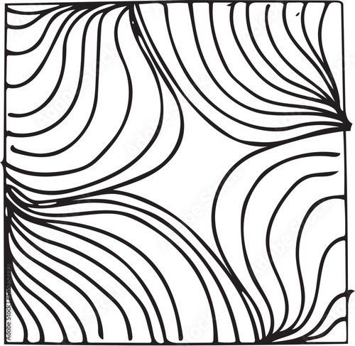 Hand drawn organic pattern in black and white. The pattern is based on the pattern on the plant.