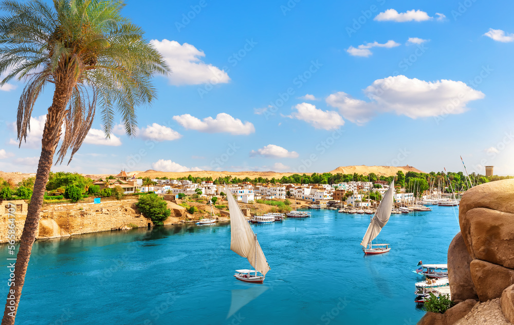Aerial view on Aswan villages by the Nile behind the palm, Egypt