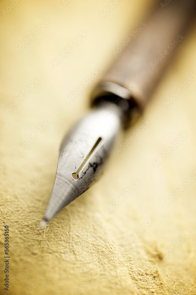 Fototapeta premium Nib pen close up