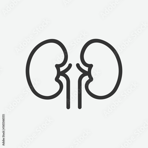 Kidney vector icon. Black medical icon. Human organ, kidney, anatomy vector illustration. 