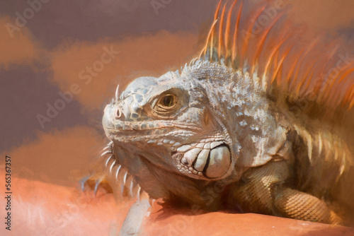 Digital painting of a green Iguana in a palm tree in a natural wild South American environment. © Rob Thorley