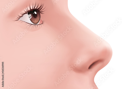 Profile view Human Nose and brown eye with eyelashes on the face realistic Illustration for medicine, makeup. Isolated on white background. Skin care. Rhinoplasty example. Body part for biology.