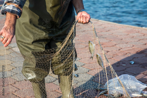 Fisherman caught fish in fishing nets by the sea, Urla - Turkey, January 12, 2023