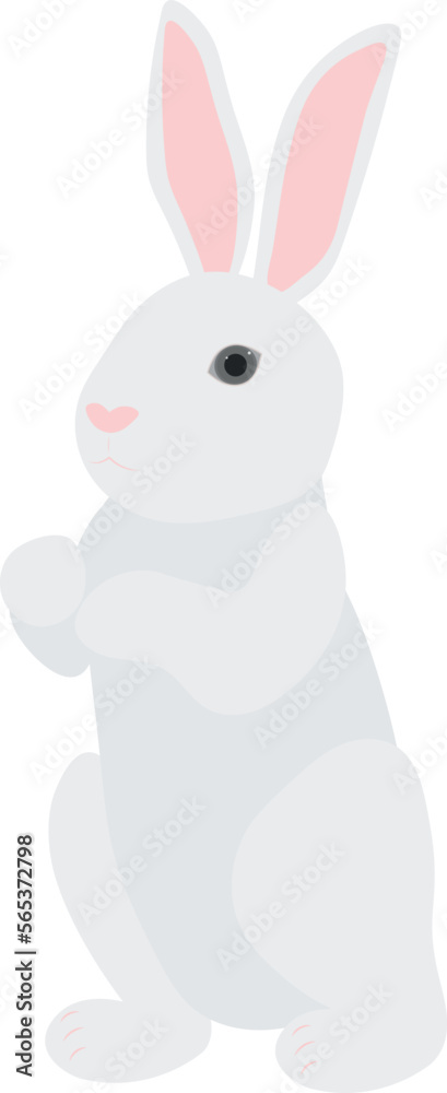 Fototapeta premium Cute white rabbit bunny vector illustration