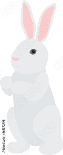 Cute white rabbit bunny vector illustration