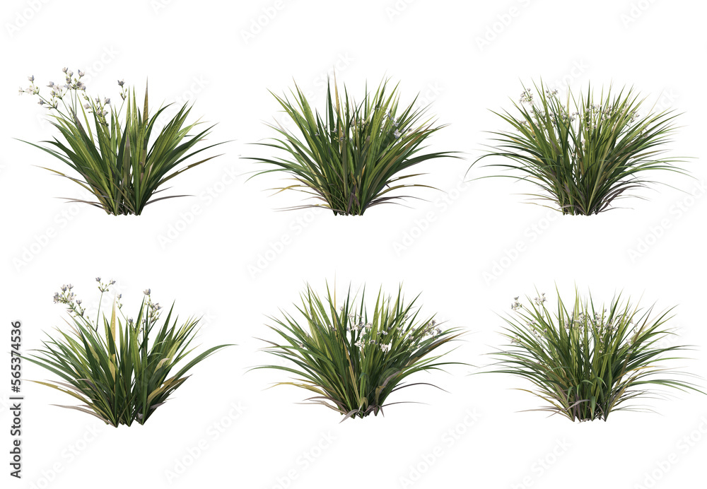 3d render a variety of plants and grasses. 3d render a variety of plants and grasses.