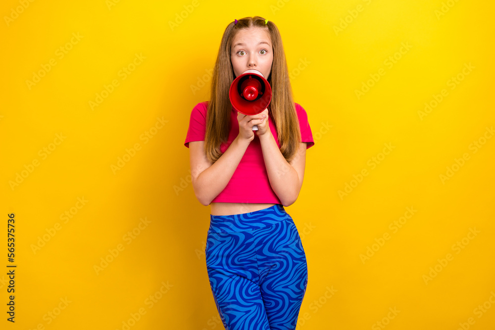 Portrait of impressed positive girl with long hairdo dressed pink top shout news hold loudspeaker isolated on yellow color background Portrait of impressed positive girl with long hairdo dressed pink top shout news hold loudspeaker isolated on yellow color background