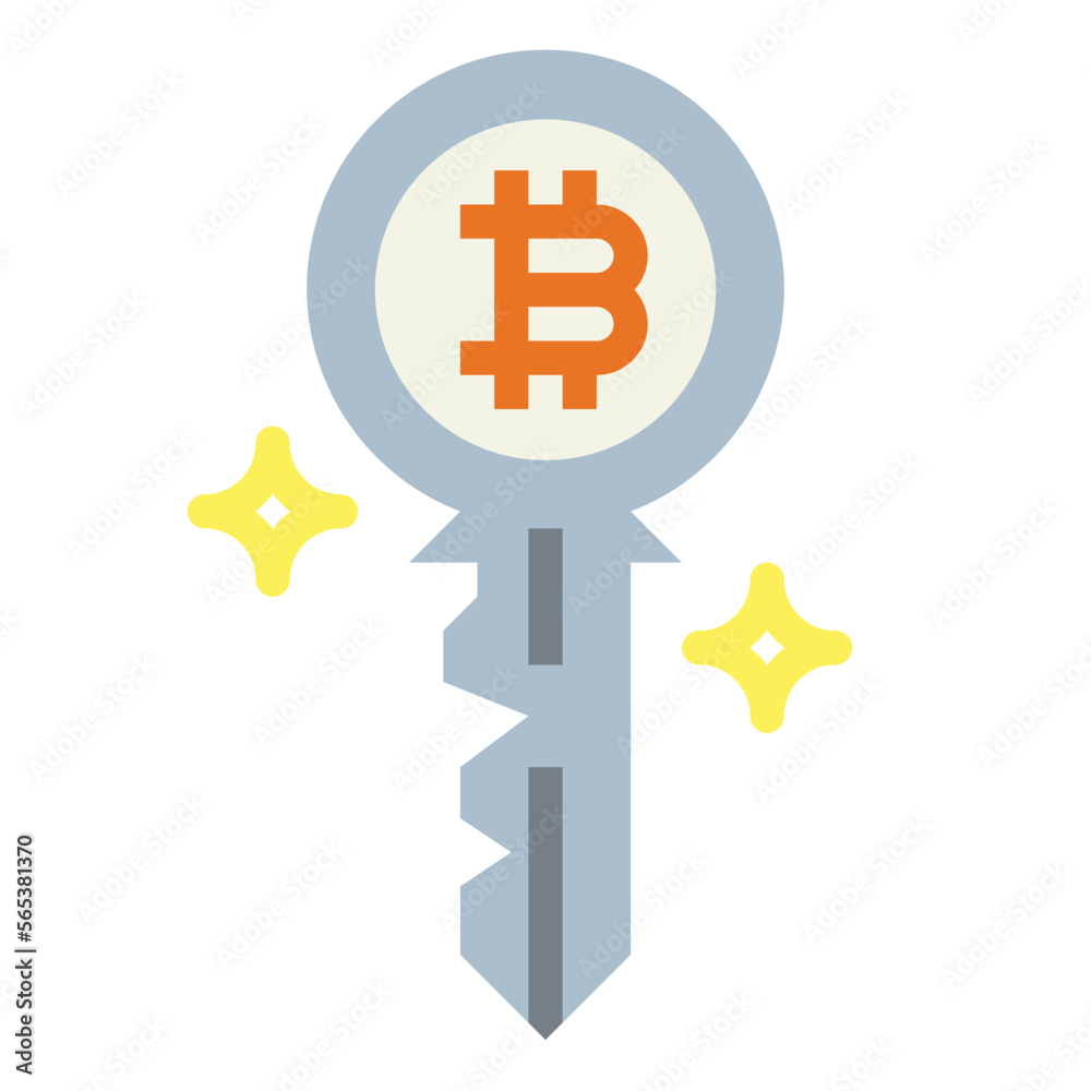 Obraz premium key flat icon style