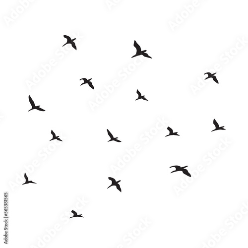 silhouettes of black birds in flying flock