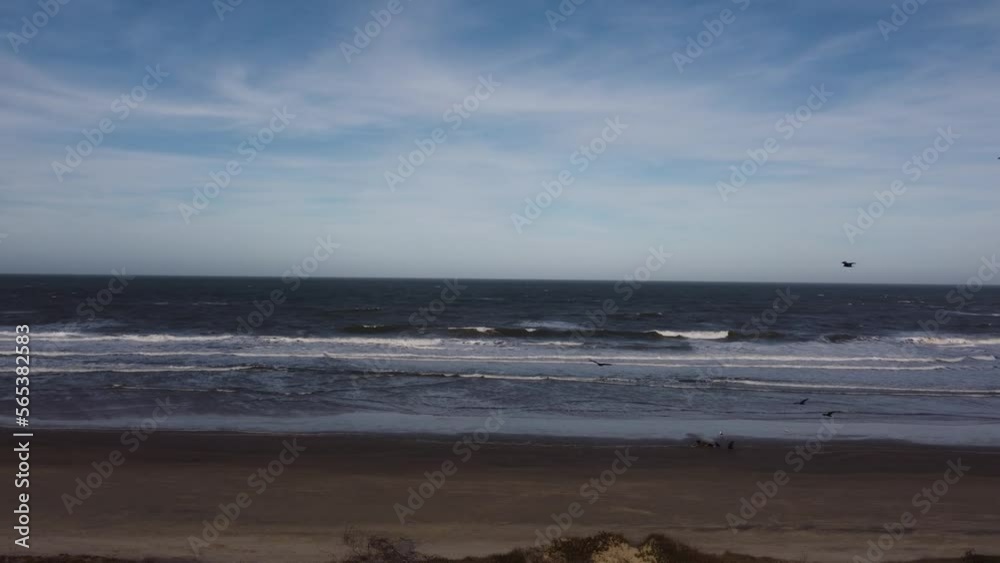Black birds flying over Atlantic ocean and beach of Playa Grande in Punta del Diablo in Uruguay Drone view Black birds flying over Atlantic ocean and beach of Playa Grande in Punta del Diablo in Uruguay Drone view