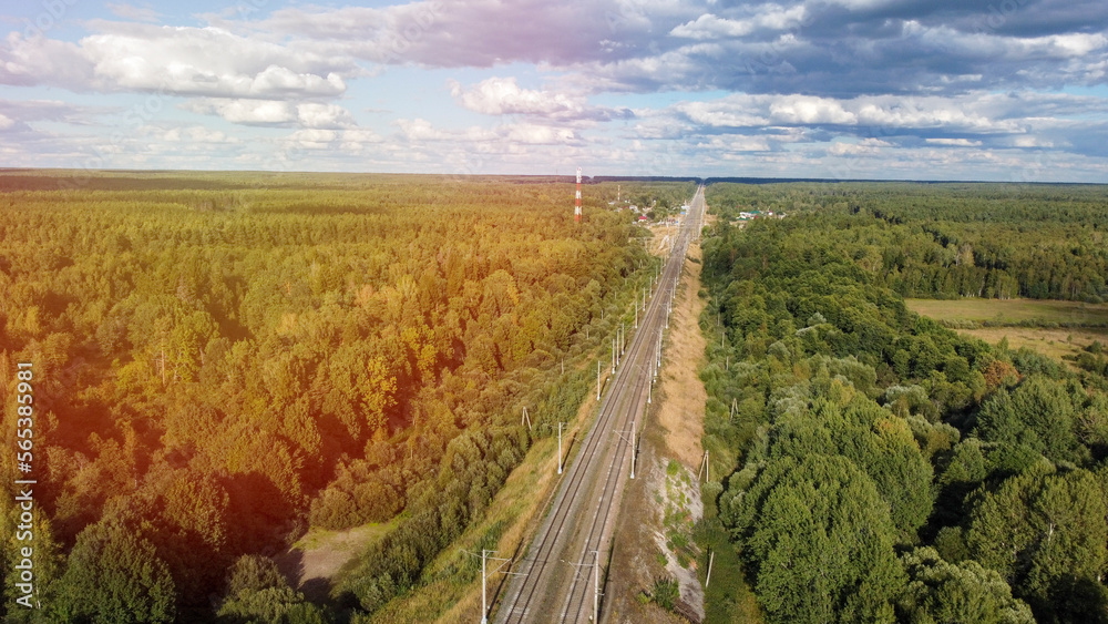 Road in a coniferous forest view from a height, sunlight, concept of travel by car