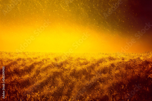 Golden vibrant field with glowing, burning sky. Landscape scenery and stage. Particles fly through the air.