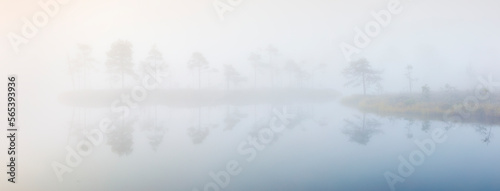 Trees and their reflections on a lake in misty bog